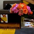 Alpaca-Collections-Trunk-Show