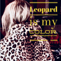 Catch a Leopard by Its Toe