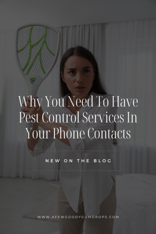 Why You Need To Have Pest Control Services In Your Phone Contacts 